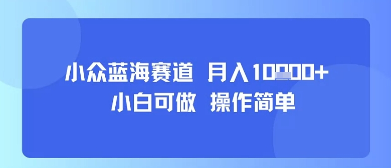 小众蓝海赛道，小白可做，操作简单，每天30分钟，月入1W+-第1张图片-我要自学网