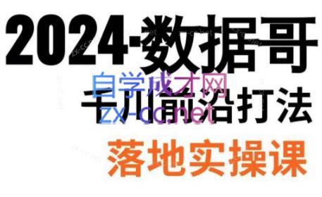 数据哥·2024年千川前沿打法落地实操课-第1张图片-我要自学网