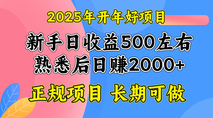 2025开年好项目，单号日收益2000左右-第1张图片-我要自学网