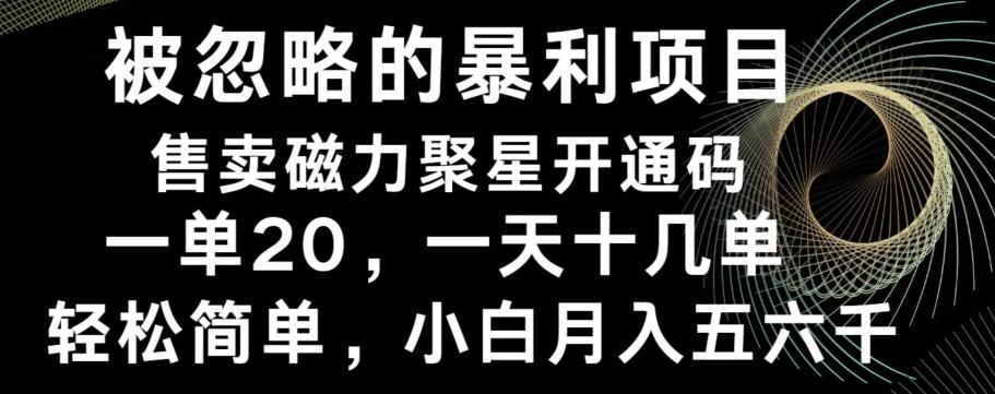 被忽略的暴利项目！售卖磁力聚星开通码，一单20，一天十几单，轻松月入五六千-第1张图片-我要自学网