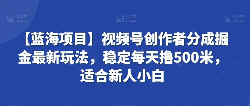 【蓝海项目】视频号创作者分成掘金最新玩法，稳定每天撸500米，适合新人小白【揭秘】-第1张图片-我要自学网