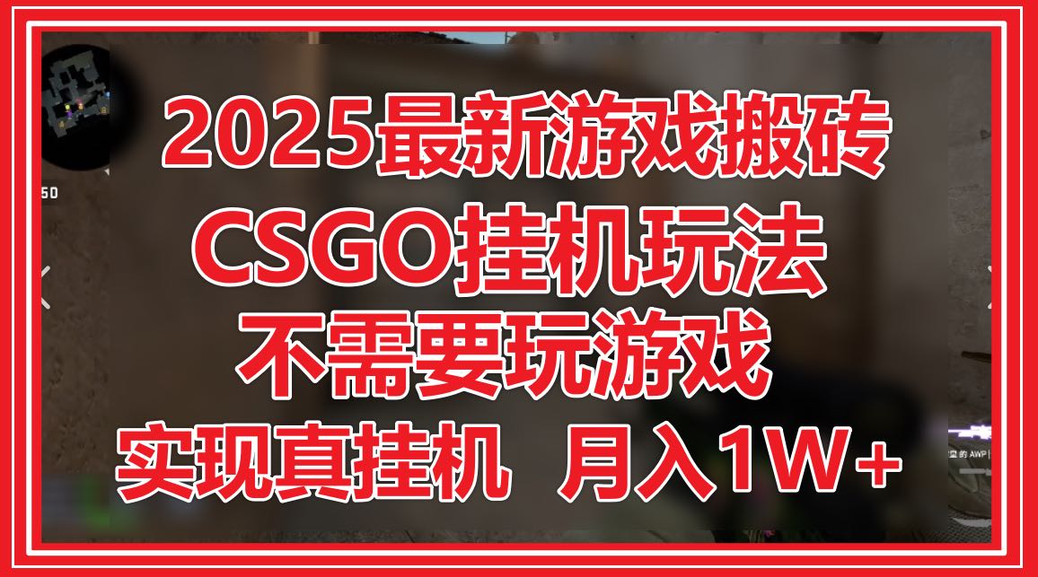 2025最新游戏搬砖，CSGO挂机，不需要玩游戏，实现真挂机，月入1W+-第1张图片-我要自学网