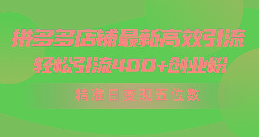 (10041期)拼多多店铺最新高效引流术，轻松引流400+创业粉，精准日变现五位数！-第1张图片-我要自学网