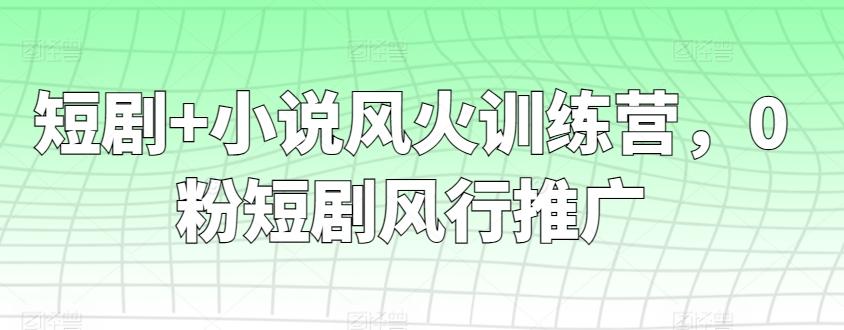 短剧+小说风火训练营,0粉短剧风行推广-第1张图片-我要自学网 短剧+小说风火训练营,0粉短剧风行推广-第1张图片-我要自学网