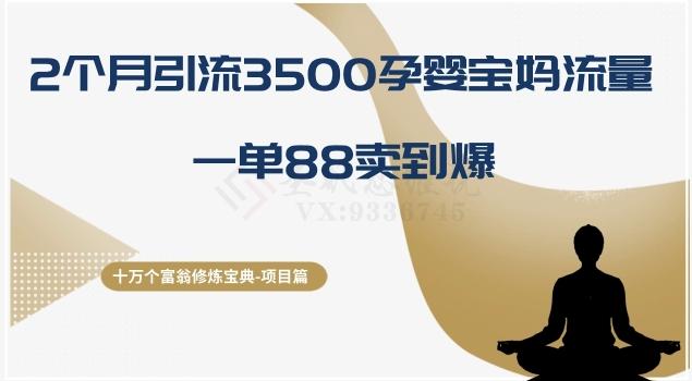 十万个富翁修炼宝典之13.2个月引流3500孕婴宝妈流量，一单88卖到爆-第1张图片-我要自学网