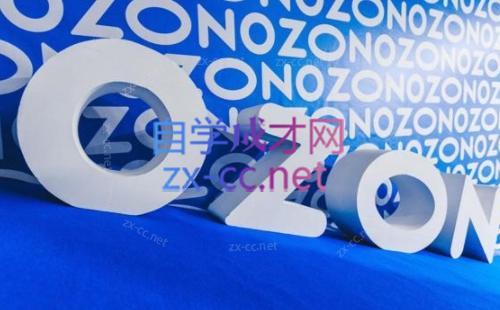 森哥·出海俄罗斯电商实操(2024)-第1张图片-我要自学网