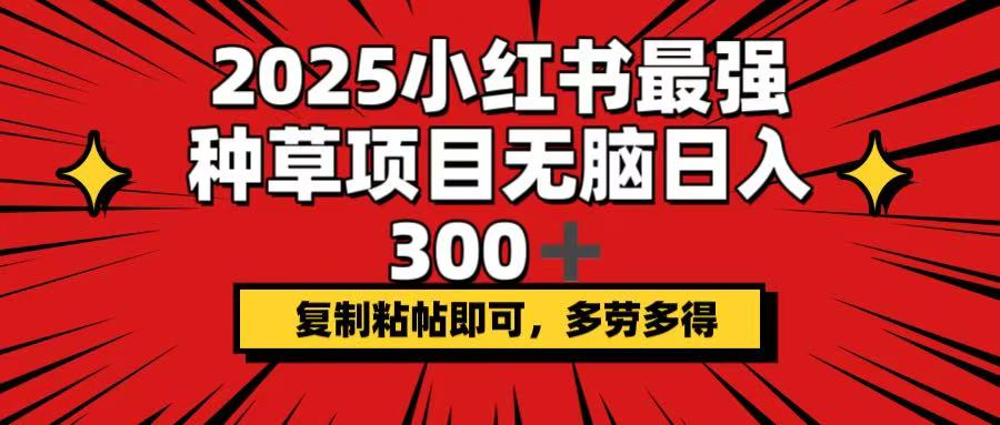 2025小红书最强种草项目，无脑日入300+，复制粘帖即可，多劳多得-第1张图片-我要自学网