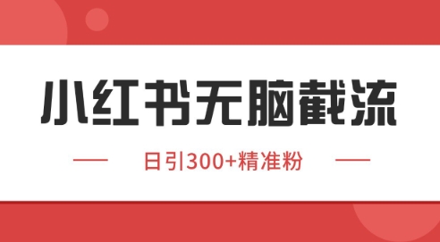 小红书截流同行客源，独家野路子获客玩法 日引200+暴力获客【揭秘】-第1张图片-我要自学网