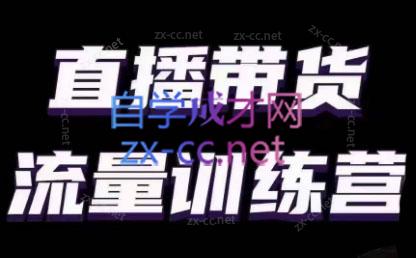 婉婉·直播带货课程系列合集(更新8月)-第1张图片-我要自学网