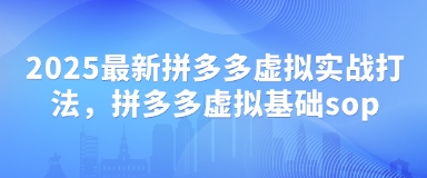2025最新拼多多虚拟实战打法，拼多多虚拟基础sop-第1张图片-我要自学网