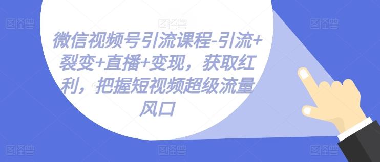 微信视频号引流课程-引流+裂变+直播+变现，获取红利，把握短视频超级流量风口-第1张图片-我要自学网