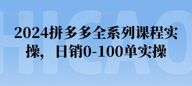 2024拼多多全系列课程实操，日销0-100单实操【必看】-第1张图片-我要自学网