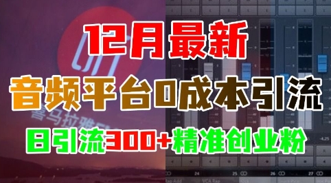 12月最新:音频平台0成本引流,日引流300+精准创业粉-第1张图片-我要自学网 12月最新:音频平台0成本引流,日引流300+精准创业粉-第1张图片-我要自学网