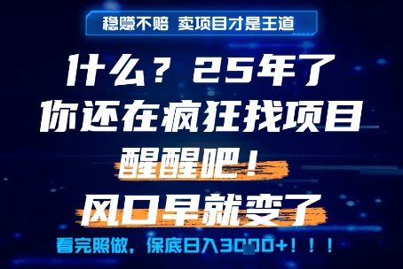 什么？25年你还在疯狂找项目做，醒醒吧，看完这些你全都懂了！【揭秘】-第1张图片-我要自学网