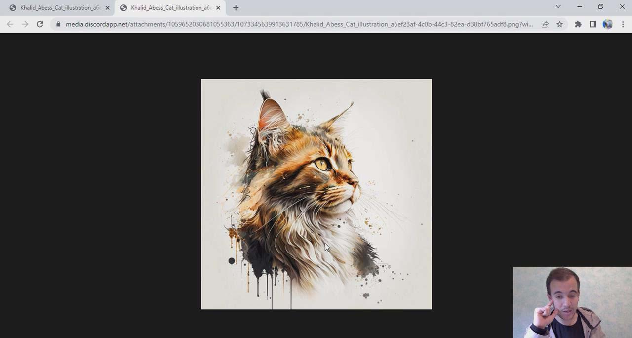 Midjourney 精通教程-使用Midjourney AI创建美丽艺术图像-36节课-中英字幕-第5张图片-我要自学网