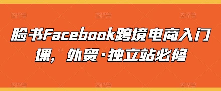脸书Facebook跨境电商入门课，外贸·独立站必修-第1张图片-我要自学网