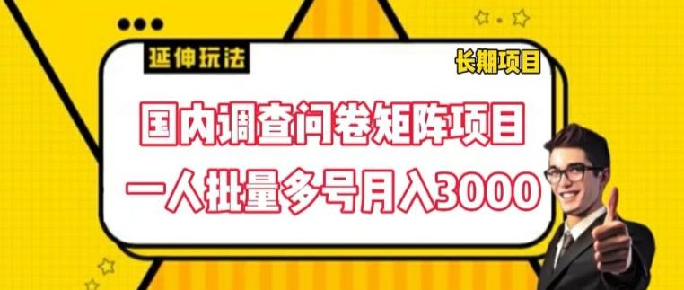 国内调查问卷矩阵项目,一人批量多号月入3000【揭秘】-第1张图片-我要自学网 国内调查问卷矩阵项目,一人批量多号月入3000【揭秘】-第1张图片-我要自学网