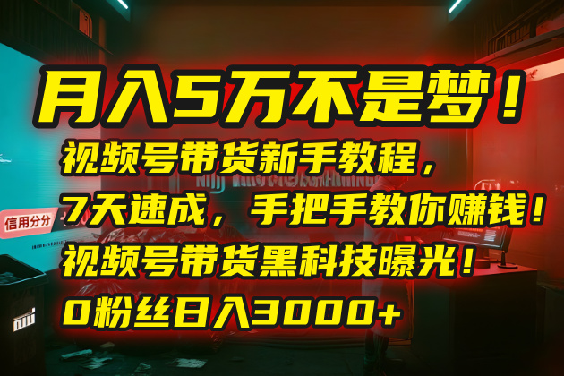 月入5万不是梦！视频号带货新手教程，7天速成，手把手教你赚钱！视频号…-第1张图片-我要自学网