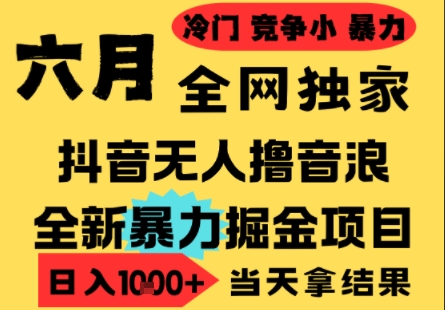 25年6月高爆抖音无人直播最新撸音浪掘金项目，小白可做，无脑日入1k+，门槛低可批量矩阵【揭秘】-第1张图片-我要自学网