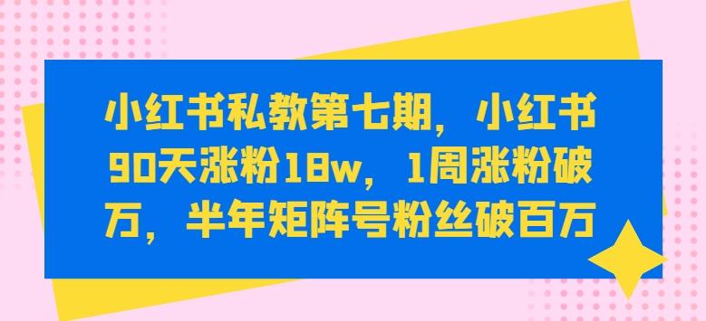 小红书私教第七期,小红书90天涨粉18w,1周涨粉破万,半年矩阵号粉丝破百万-第1张图片-我要自学网 小红书私教第七期,小红书90天涨粉18w,1周涨粉破万,半年矩阵号粉丝破百万-第1张图片-我要自学网