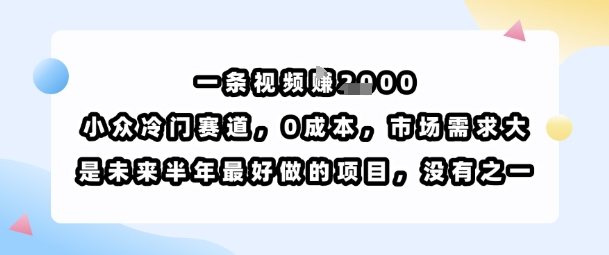 一条视频挣1k，小众冷门赛道，0成本，市场需求大，是未来半年最好做的项目，没有之一-第1张图片-我要自学网