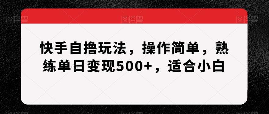 快手自撸玩法，操作简单，熟练单日变现500+，适合小白【揭秘】-第1张图片-我要自学网