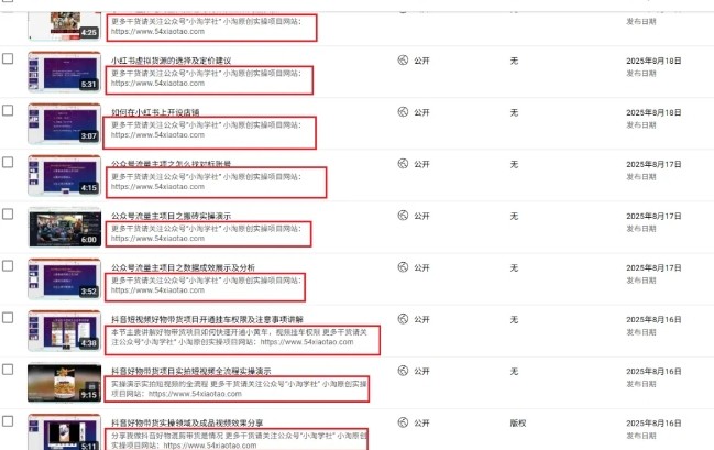 2025油管引流术，分享我是如何通过油管做引流的-第2张图片-我要自学网