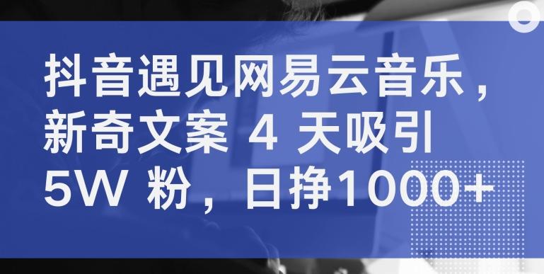 抖音遇见网易云音乐，新奇文案 4 天吸引 5W 粉，日挣1000+【揭秘】-第1张图片-我要自学网