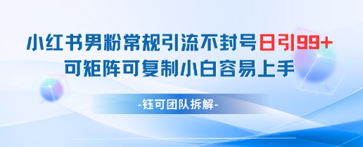 小红书男粉常规引流不封号日引99+变现简单 可矩阵可复制小白容易上手-第1张图片-我要自学网