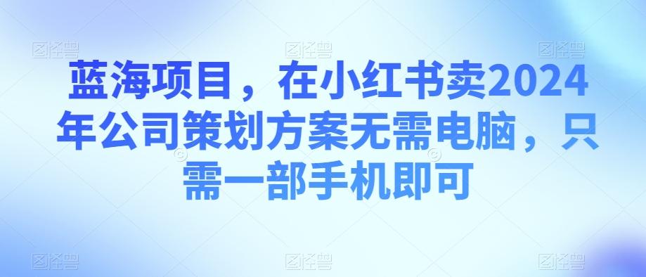 蓝海项目，在小红书卖2024年公司策划方案无需电脑，只需一部手机即可-第1张图片-我要自学网