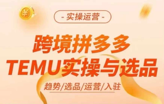 跨境拼多多TEMU实操与选品，多多temu跨境选品运营实操-第1张图片-我要自学网