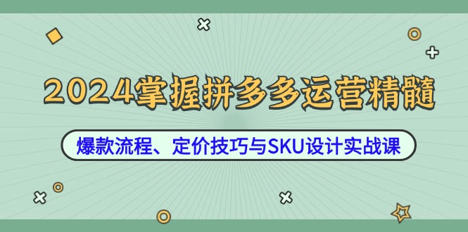 2024掌握拼多多运营精髓：爆款流程、定价技巧与SKU设计实战课-第1张图片-我要自学网