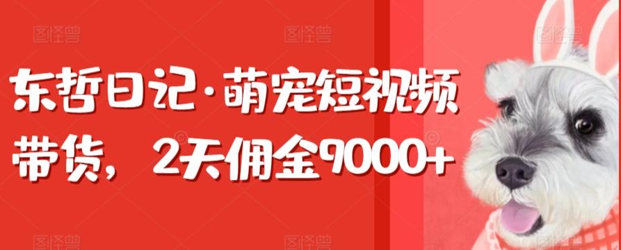 东哲日记·萌宠短视频带货，2天佣金9000+-第1张图片-我要自学网
