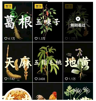 抖音中草药赛道,用AI做中草药故事视频,45条作品涨粉13W,橱窗带货猛猛出单-第2张图片-我要自学网 抖音中草药赛道,用AI做中草药故事视频,45条作品涨粉13W,橱窗带货猛猛出单-第2张图片-我要自学网