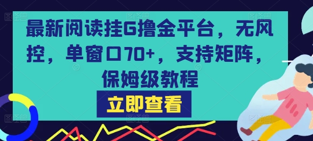 最新阅读挂G撸金平台，无风控，单窗口70+，支持矩阵，保姆级教程【揭秘】-第1张图片-我要自学网