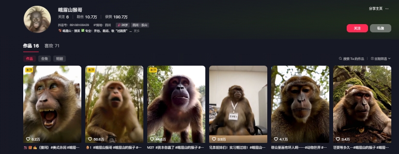 最新爆火的峨眉山猴子短视频制作教程，条条点赞10w+，谁做谁火【教程+提示词】-第2张图片-我要自学网
