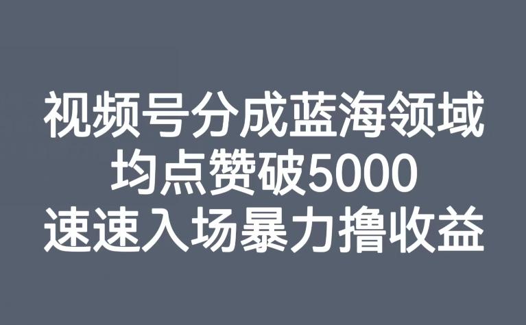 视频号分成蓝海领域，均点赞破5000，速速入场暴力撸收益-第1张图片-我要自学网