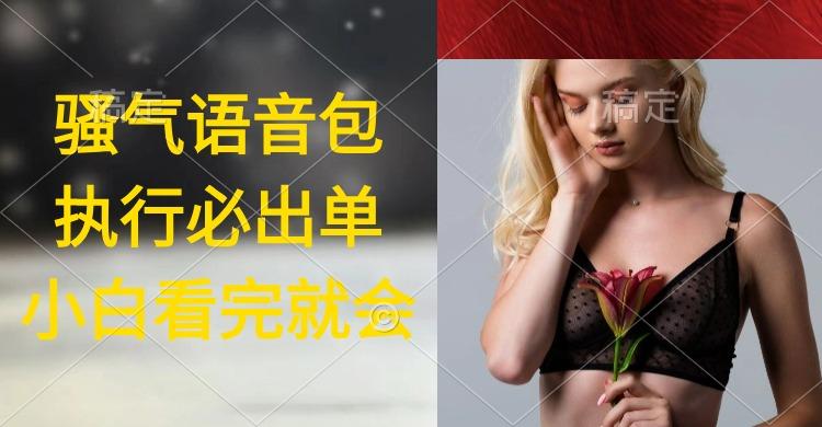 (9589期)执行就出单，日入2000+，超火骚气语音包，小白看完课程就能马上实操-第1张图片-我要自学网