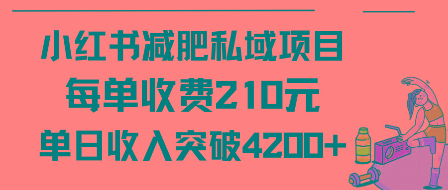 (9466期)小红书减肥私域项目每单收费210元单日成交20单，最高日入4200+-第1张图片-我要自学网