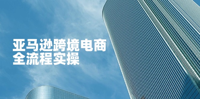 亚马逊跨境电商全流程实操，教你从零开始，掌握店铺运营与广告技巧-第1张图片-我要自学网