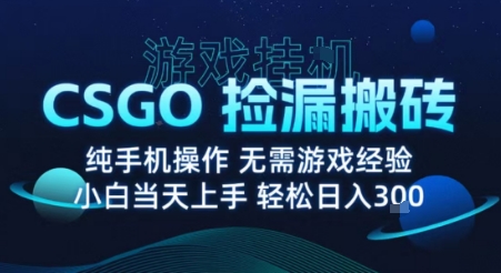 8月最新游戏搬砖，CSGO纯挂G，不需要玩游戏，实现真挂G，月入1W+【揭秘】-第1张图片-我要自学网
