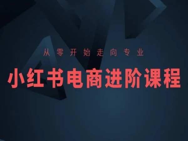 从零开始走向专业,小红书电商进阶课程-第1张图片-我要自学网 从零开始走向专业,小红书电商进阶课程-第1张图片-我要自学网