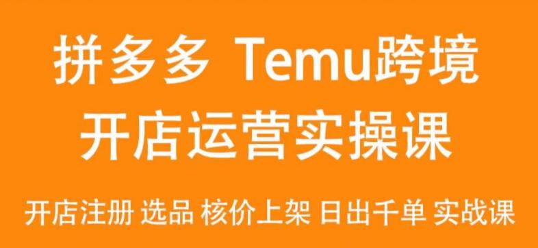 2024Temu最新玩法，Temu跨境开店运营实操课，开店注册/选品/核价上架/日出千单实战课-第1张图片-我要自学网