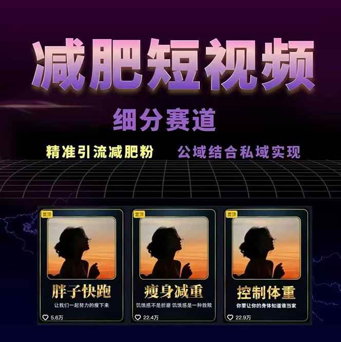 减肥短视频运营实战课：含素材制作、剪映教学，讲精准引流、变现设计与内容模板技巧-第2张图片-我要自学网