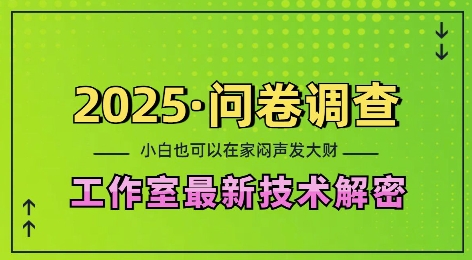 2025问卷调查最新工作室技术解密：一个人在家也可以闷声发大财，小白一天2张，可矩阵放大【揭秘】-第1张图片-我要自学网