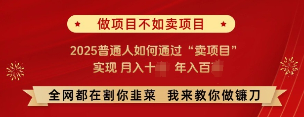 必看,做项目不如卖项目,2025普通人如何通过“卖项目”实现月入十个,年入百个-第1张图片-我要自学网 必看,做项目不如卖项目,2025普通人如何通过“卖项目”实现月入十个,年入百个-第1张图片-我要自学网