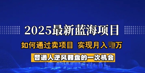 2025蓝海项目，普通人如何通过卖项目，实现月入过W，全过程【揭秘】-第1张图片-我要自学网