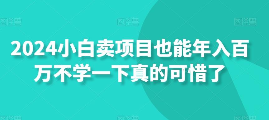 2024小白卖项目也能年入百万不学一下真的可惜了-第1张图片-我要自学网