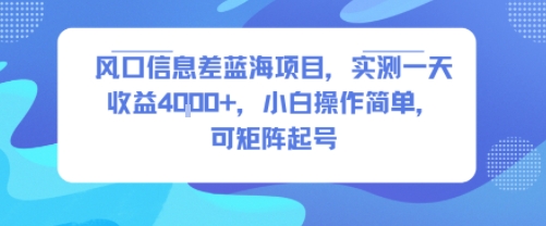 风口信息差蓝海项目，实测一天收益4k+，小白操作简单，可矩阵起号-第1张图片-我要自学网
