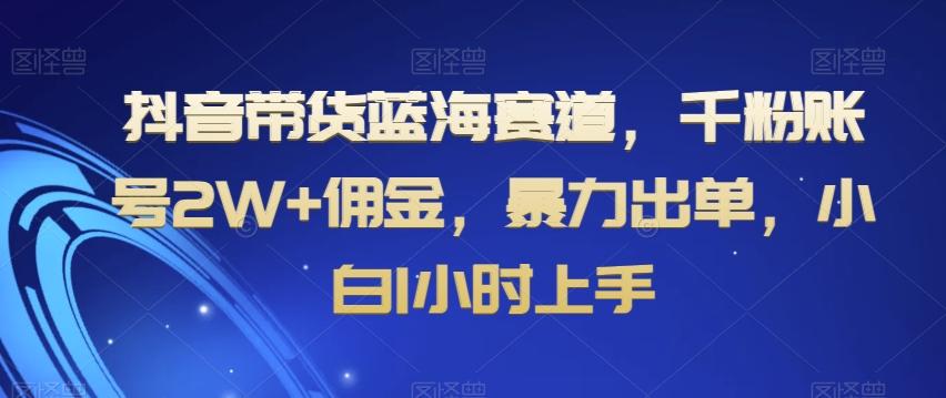 抖音带货蓝海赛道,千粉账号2W+佣金,暴力出单,小白1小时上手【揭秘】-第1张图片-我要自学网 抖音带货蓝海赛道,千粉账号2W+佣金,暴力出单,小白1小时上手【揭秘】-第1张图片-我要自学网